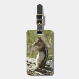 Chipmunk in Glacier National Park II Nature Photo Luggage Tag