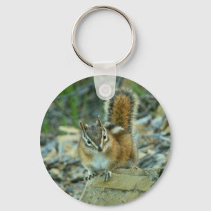 Chipmunk in Glacier National Park Key Ring
