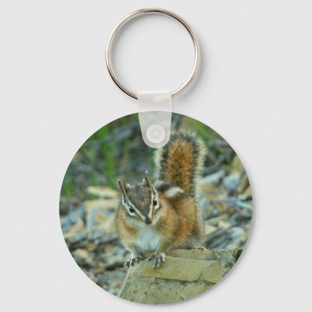 Chipmunk in Glacier National Park Key Ring (Front)