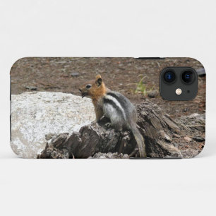 Chipmunk in Yosemite, California iPhone 11 Case