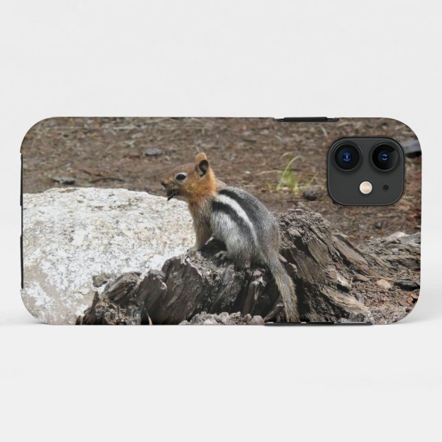 Chipmunk in Yosemite, California Case-Mate iPhone Case (Back (Horizontal))