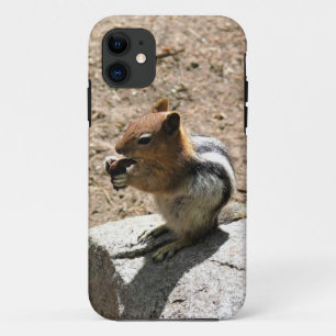 Chipmunk in Yosemite, California iPhone 11 Case