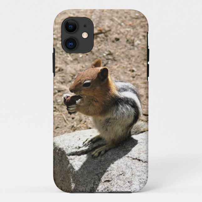 Chipmunk in Yosemite, California Case-Mate iPhone Case (Back)