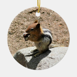 Chipmunk in Yosemite, California Ceramic Ornament