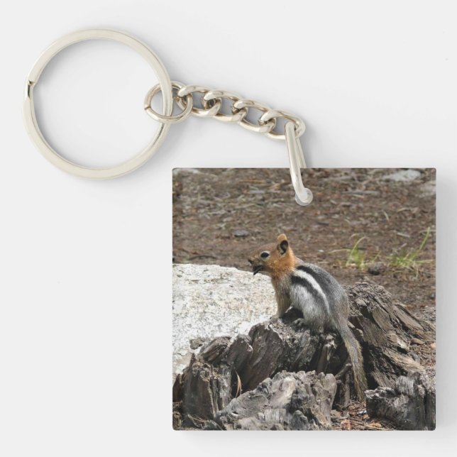 Chipmunk in Yosemite, California Key Ring (Front)