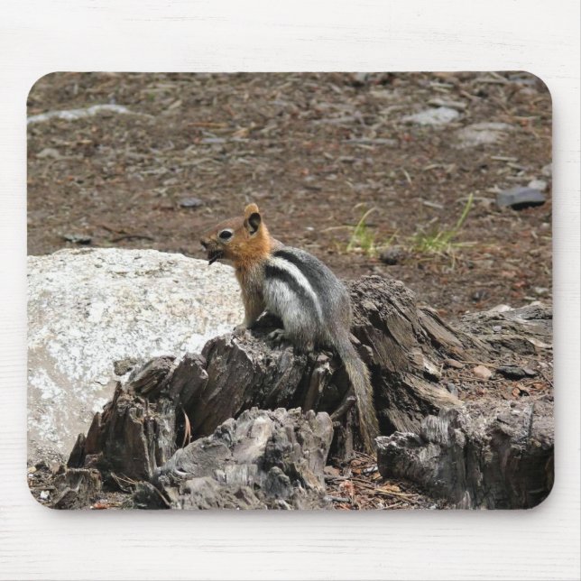 Chipmunk in Yosemite, California Mouse Pad (Front)
