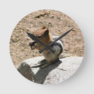 Chipmunk in Yosemite, California Round Clock