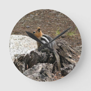 Chipmunk in Yosemite, California Round Clock