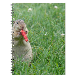 Chipmunk.JPG Notebook