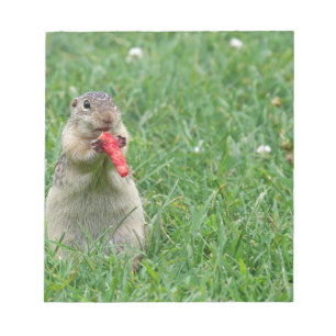 Chipmunk.JPG Notepad