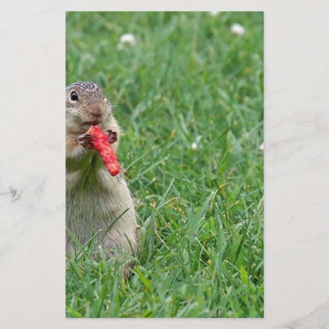 Chipmunk.JPG Stationery (Front)