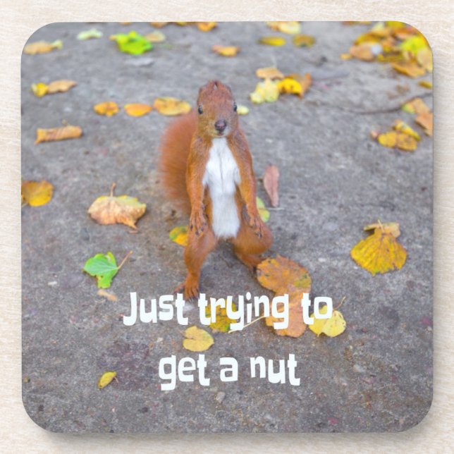 chipmunk Just trying to get a nut Coaster (Front)