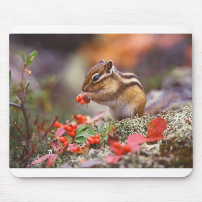 Chipmunk Life Style trending product Mouse Pad (Front)