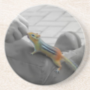 Chipmunk Lunch Coaster