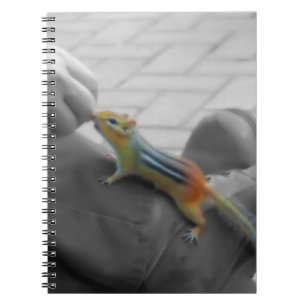 Chipmunk Lunch Notebook