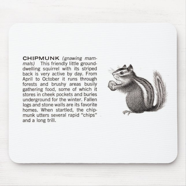 chipmunk mouse pad (Front)