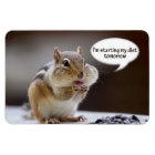 Chipmunk on a Diet Photo