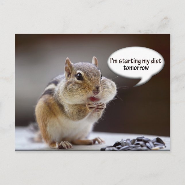Chipmunk on a Diet Photo Postcard (Front)