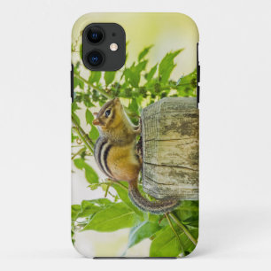 Chipmunk on a Fence Post iPhone 11 Case