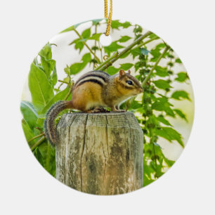 Chipmunk on a Fence Post Ceramic Ornament