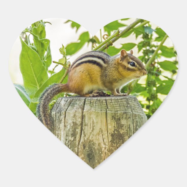 Chipmunk on a Fence Post Heart Sticker (Front)