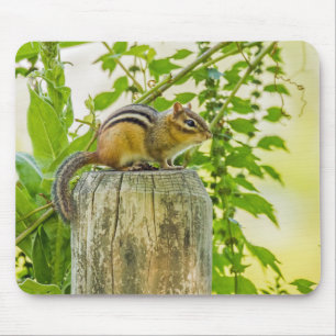 Chipmunk on a Fence Post Mouse Pad