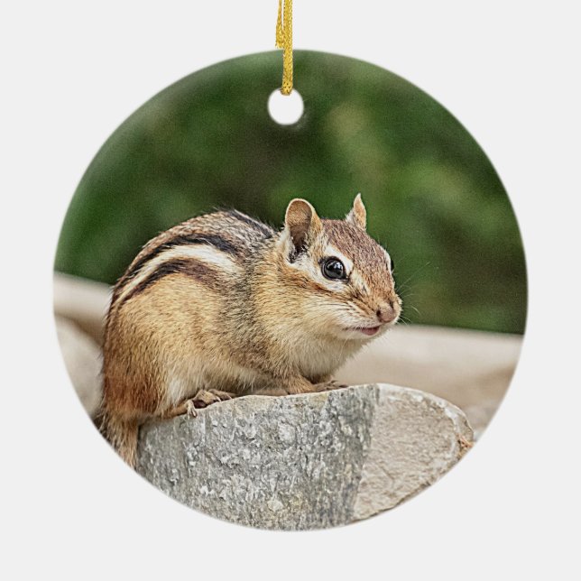 Chipmunk on a rock ceramic tree decoration (Back)