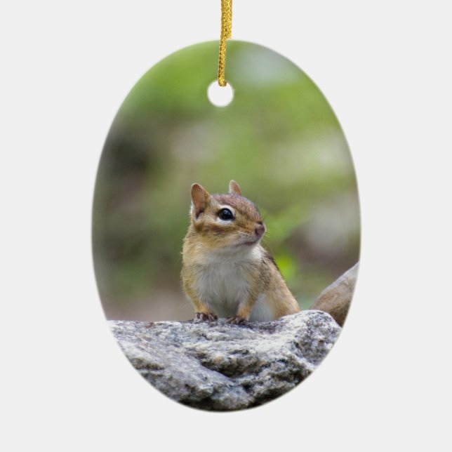 Chipmunk on a rock ceramic tree decoration (Front)