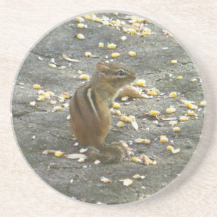 Chipmunk on Rock Items Coaster