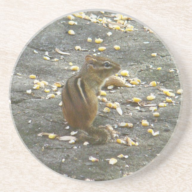 Chipmunk on Rock Items Coaster (Front)