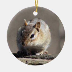 Chipmunk ornament