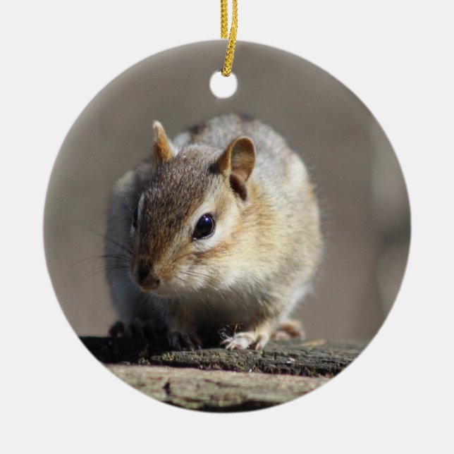 Chipmunk ornament (Front)