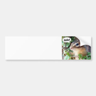 Chipmunk photo (20-4) bumper sticker