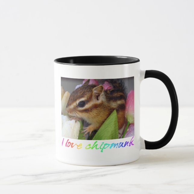Chipmunk photo　(30-10) mug (Right)