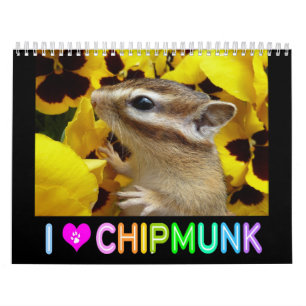 Chipmunk photo　(3) calendar