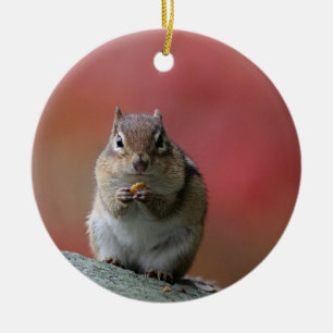 Chipmunk photo ceramic tree decoration