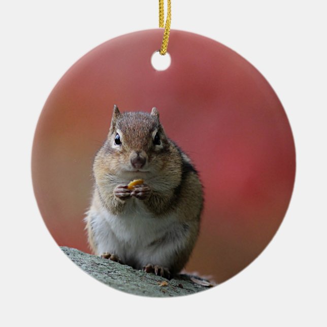 Chipmunk photo ceramic tree decoration (Front)