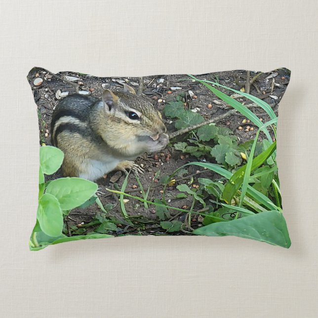 Chipmunk Photo In The Garden Eating Seeds  Decorative Cushion (Front)