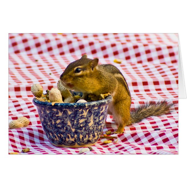 Chipmunk Picnic (Front Horizontal)