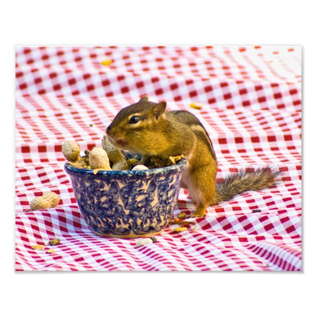Chipmunk Picnic Photo Print (Front)