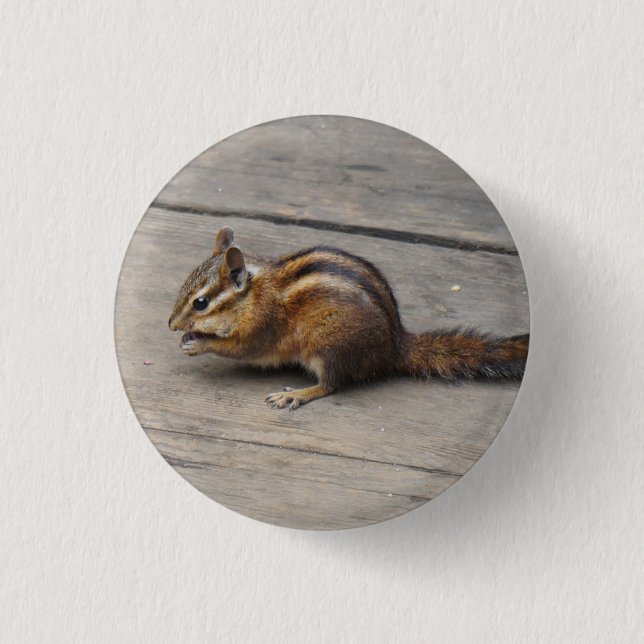 Chipmunk Pinback Button (Front)