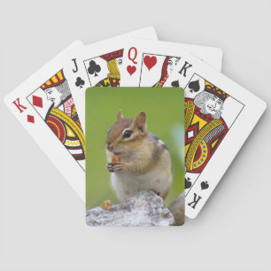 Chipmunk Playing Cards