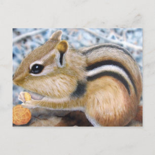 Chipmunk Postcard