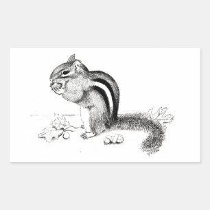 Chipmunk Rectangular Sticker
