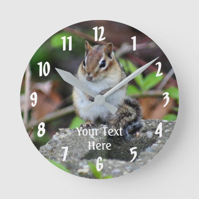 Chipmunk Sitting Animal Round Clock (Front)