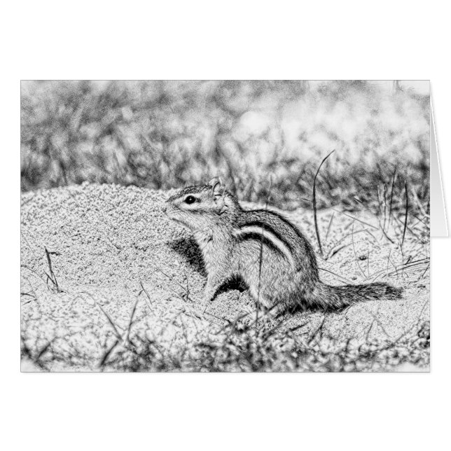 Chipmunk Sketch (Front Horizontal)
