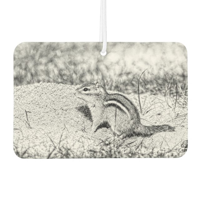 Chipmunk Sketch Car Air Freshener (Front)