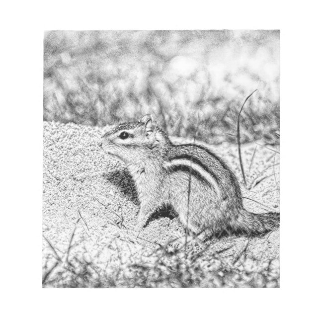 Chipmunk Sketch Notepad (Front)