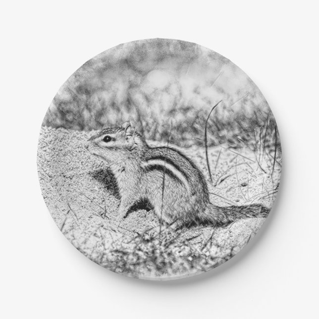Chipmunk Sketch Paper Plate (Front)