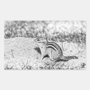 Chipmunk Sketch Rectangular Sticker